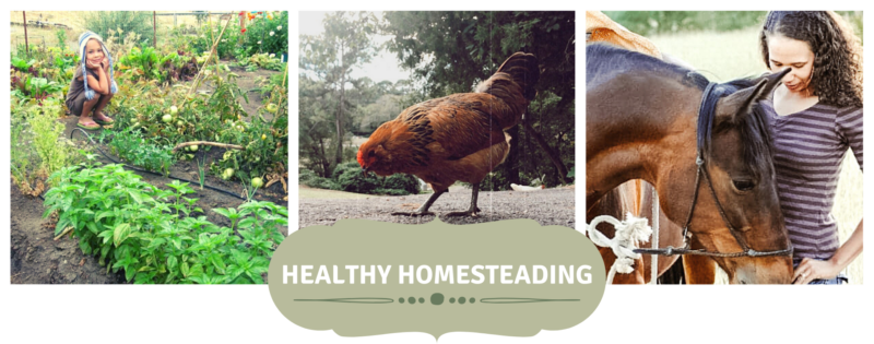 Home | Healthy Homesteading : Essential Oils & Holistic Lifestyle